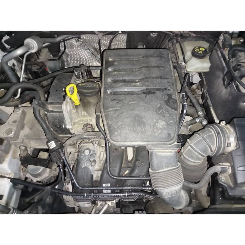 seat ibiza (kj1) del año 2019