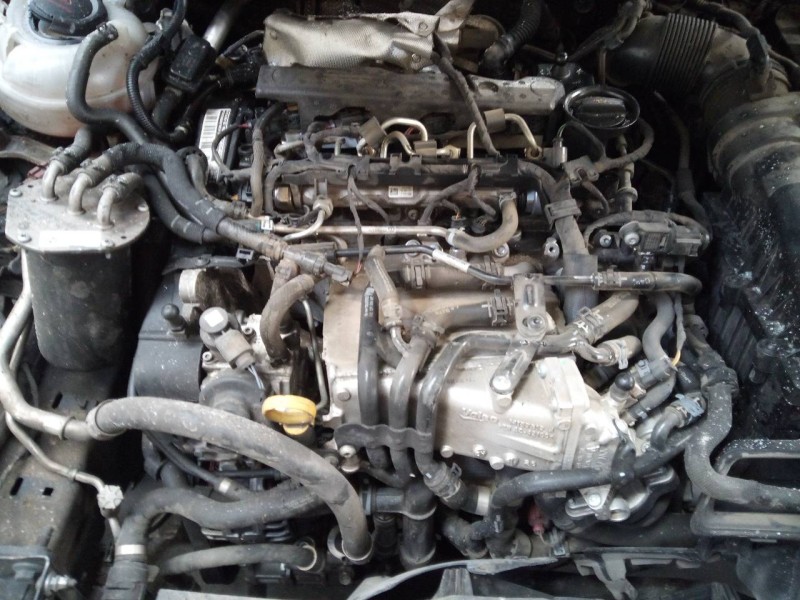 volkswagen t-roc del año 2019