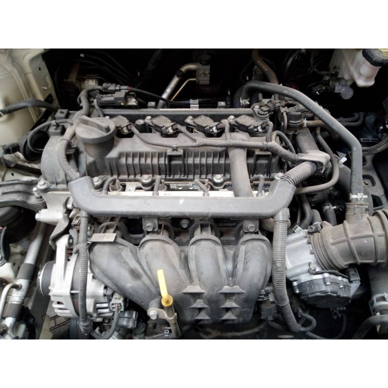 kia rio (yb) del año 2017