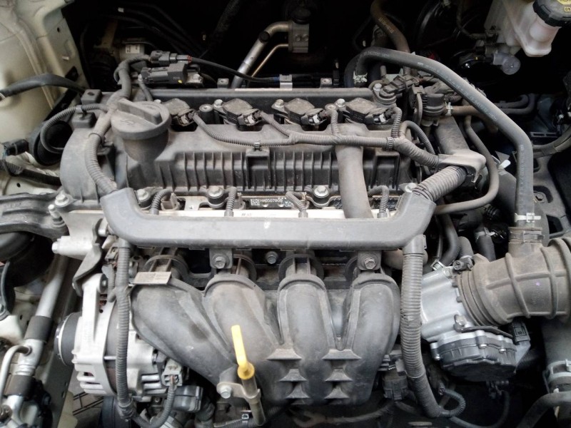 kia rio (yb) del año 2017