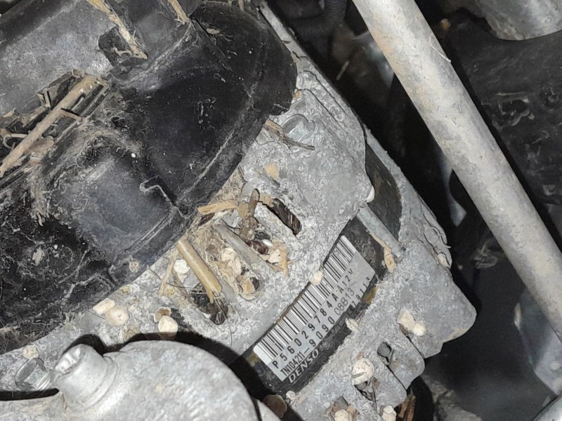 Recambio de alternador para jeep compass (mp, m6, mv, m7) 1.4 multiair referencia OEM IAM   