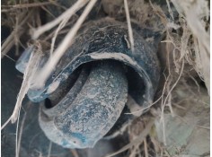 MANGUETA TRASERA DERECHA 