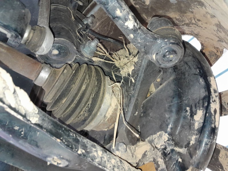 Recambio de mangueta delantera derecha para ford b-max (jk) 1.0 ecoboost referencia OEM IAM   