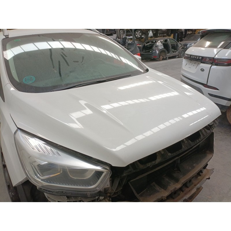 Recambio de capot para ford kuga ii (dm2) 1.5 tdci referencia OEM IAM   