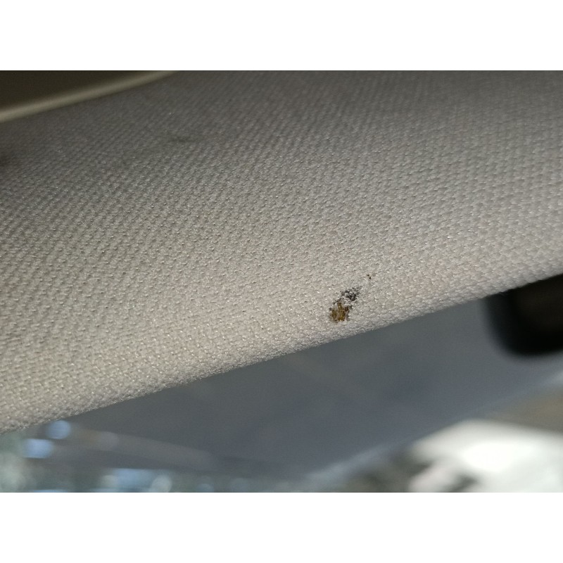 Recambio de parasol izquierdo para land rover range rover evoque (l538) 2.2 d 4x4 referencia OEM IAM   