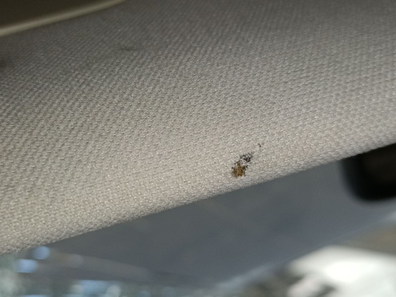 Recambio de parasol izquierdo para land rover range rover evoque (l538) 2.2 d 4x4 referencia OEM IAM   