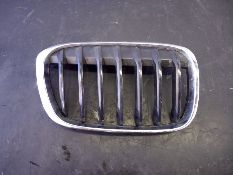 Recambio de rejilla delantera para bmw serie x1 (f48) sdrive 18d referencia OEM IAM 7354824  P2-B2-23