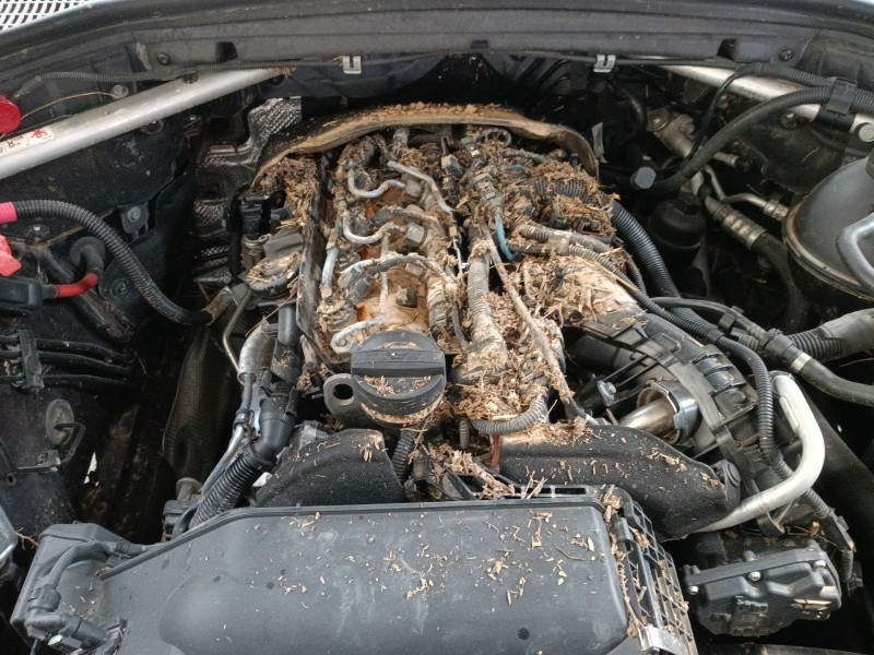 bmw x4 (f26) del año 2016