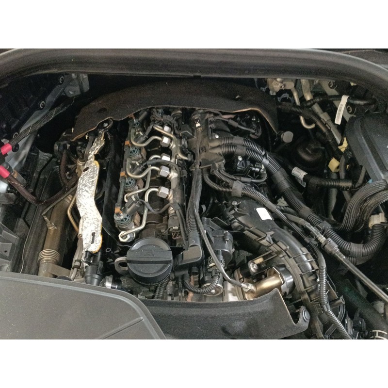 Recambio de motor completo para bmw x4 (g02, f98) xdrive 20 d referencia OEM IAM   