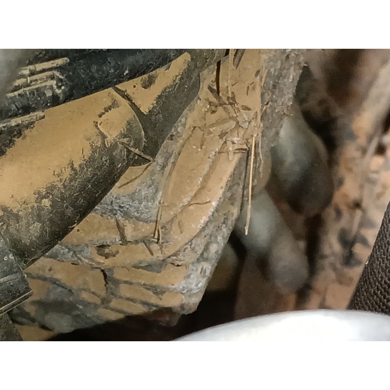 Recambio de alternador para audi q3 (8ub, 8ug) 2.0 tdi quattro referencia OEM IAM   