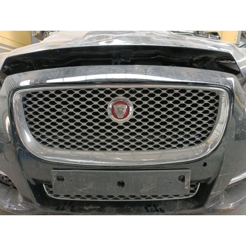 Recambio de rejilla delantera para jaguar xj (x351) 3.0 sdv6 referencia OEM IAM   