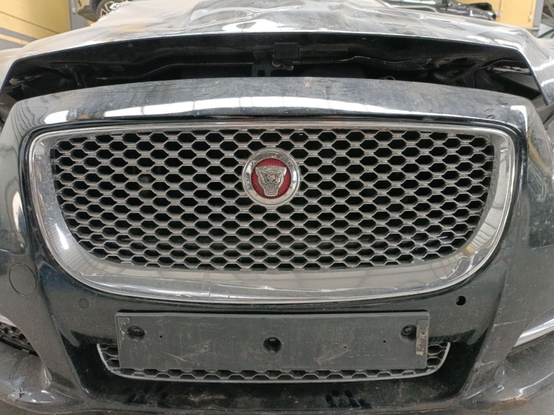 Recambio de rejilla delantera para jaguar xj (x351) 3.0 sdv6 referencia OEM IAM   