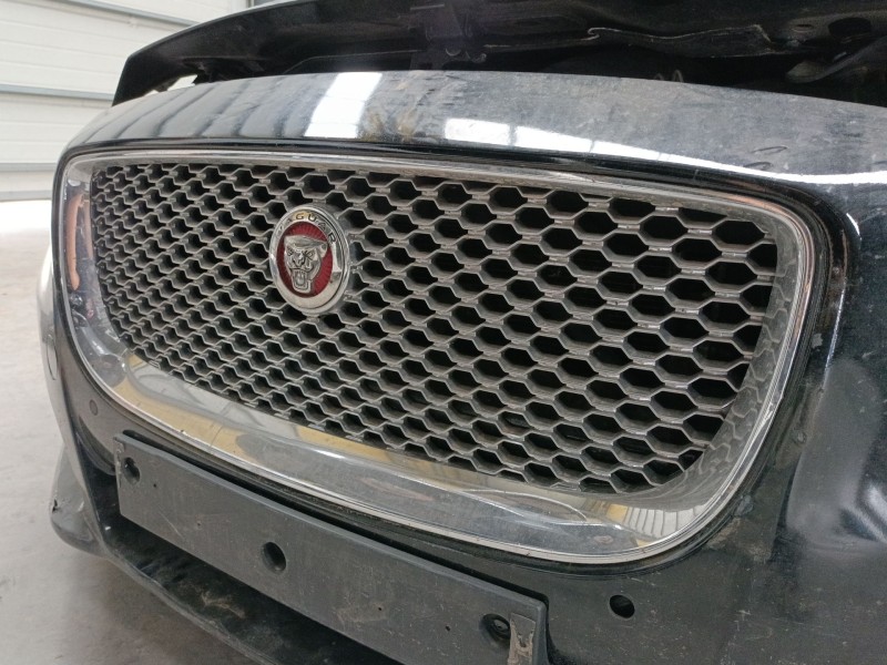 Recambio de rejilla delantera para jaguar xj (x351) 3.0 sdv6 referencia OEM IAM   