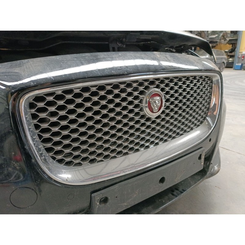 Recambio de rejilla delantera para jaguar xj (x351) 3.0 sdv6 referencia OEM IAM   
