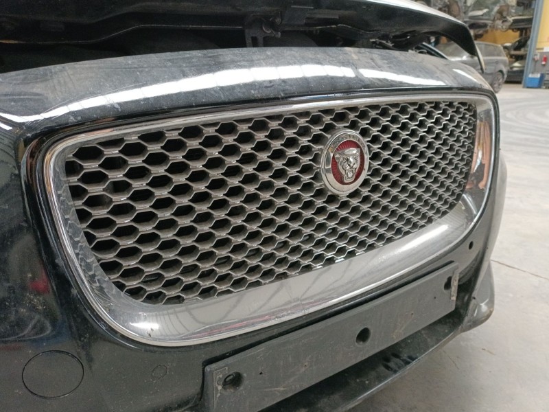 Recambio de rejilla delantera para jaguar xj (x351) 3.0 sdv6 referencia OEM IAM   