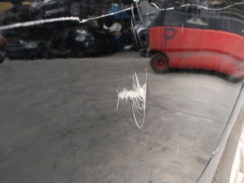 Recambio de puerta trasera izquierda para jaguar xj (x351) 3.0 sdv6 referencia OEM IAM   