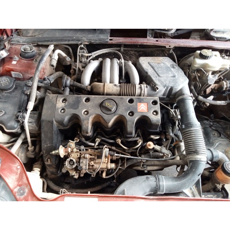 citroën saxo (s0, s1) del año 2000