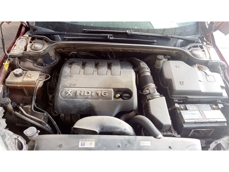 peugeot 407 (6d_) del año 2006