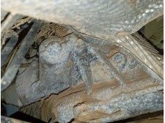 CREMALLERA DIRECCION 