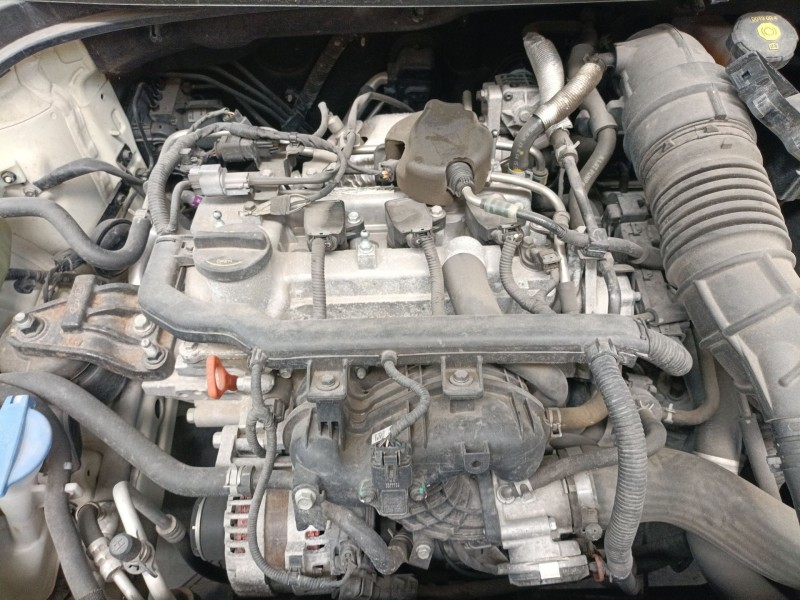 kia stonic (yb) del año 2019