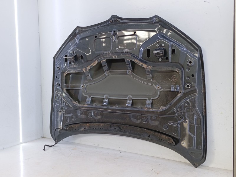 Recambio de capot para bmw x1 (f48) sdrive 18 d referencia OEM IAM   