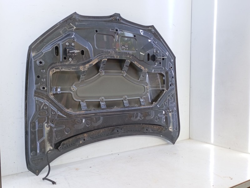 Recambio de capot para bmw x1 (f48) sdrive 18 d referencia OEM IAM   