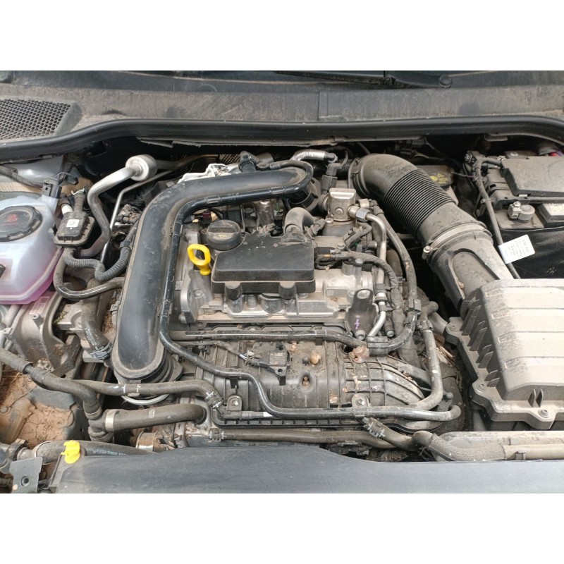 seat ibiza v (kj1, kjg) del año 2017