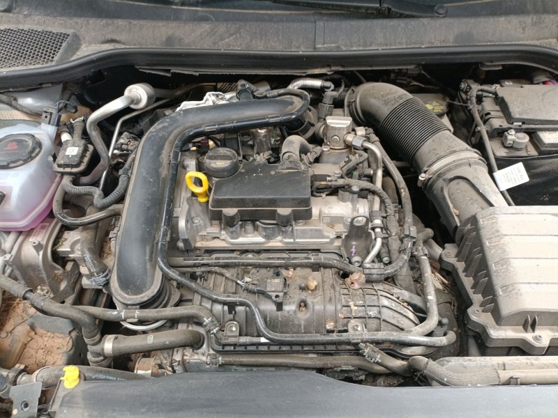 seat ibiza v (kj1, kjg) del año 2017