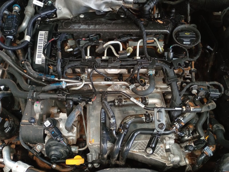 volkswagen tiguan allspace (bw2, bj2) del año 2017