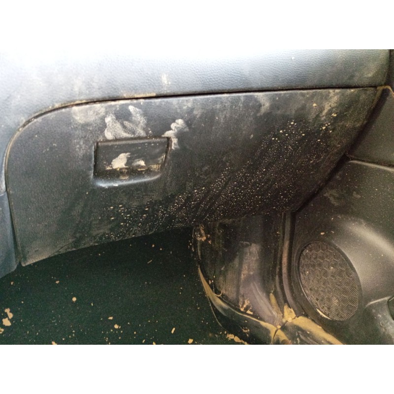 Recambio de guantera para nissan qashqai ii (j11, j11_) 1.3 dig-t referencia OEM IAM   