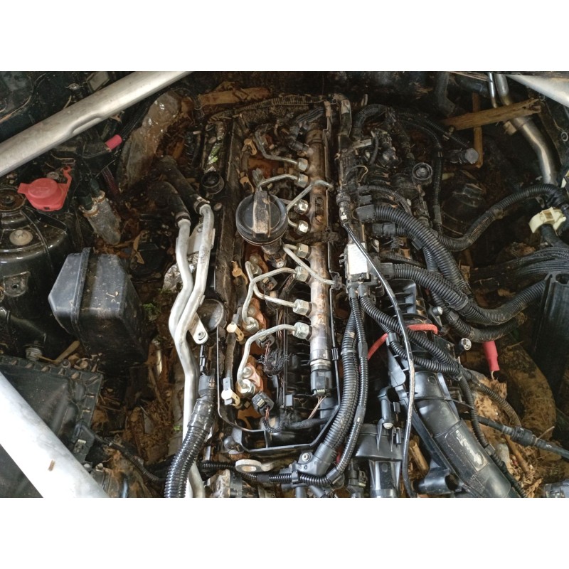 bmw x6 (g06, f96) del año 2020