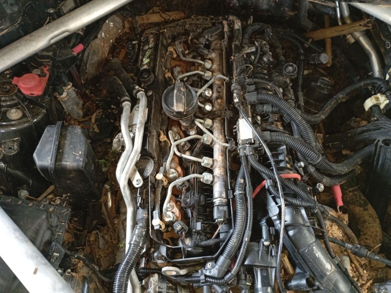 bmw x6 (g06, f96) del año 2020