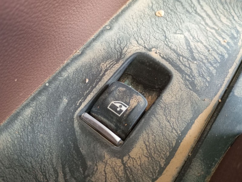 Recambio de mando elevalunas trasero izquierdo para bmw x6 (g06, f96) xdrive 30 d referencia OEM IAM   