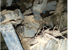 Recambio de cremallera direccion para bmw x6 (g06, f96) xdrive 30 d referencia OEM IAM   