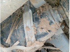 Recambio de diferencial trasero para bmw x6 (g06, f96) xdrive 30 d referencia OEM IAM   