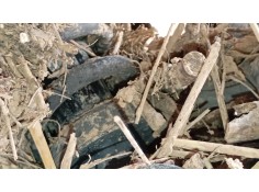 AMORTIGUADOR TRASERO DERECHO 