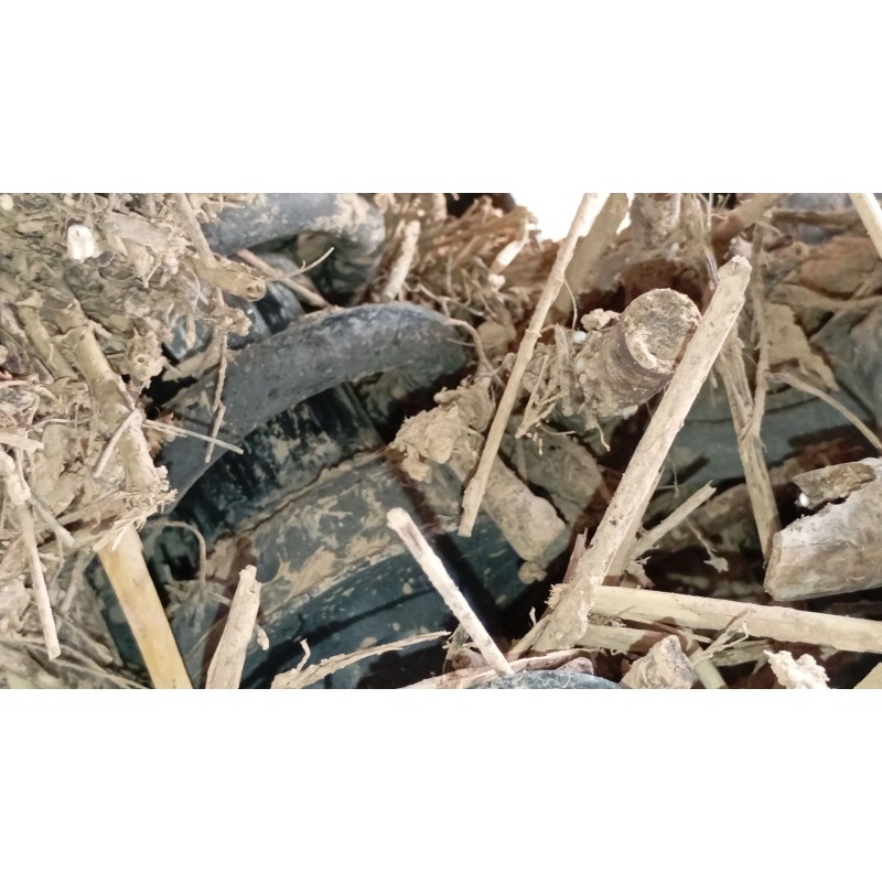 Recambio de amortiguador trasero derecho para bmw x6 (g06, f96) xdrive 30 d referencia OEM IAM   