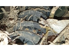 Recambio de amortiguador trasero izquierdo para bmw x6 (g06, f96) xdrive 30 d referencia OEM IAM   