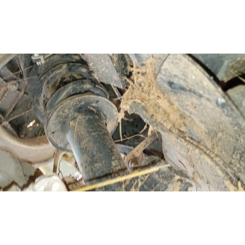 Recambio de amortiguador delantero izquierdo para bmw x6 (g06, f96) xdrive 30 d referencia OEM IAM   