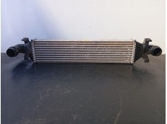 INTERCOOLER A2465000100 P2-B10-13