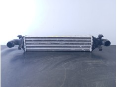 INTERCOOLER A2465000100 P2-B10-13