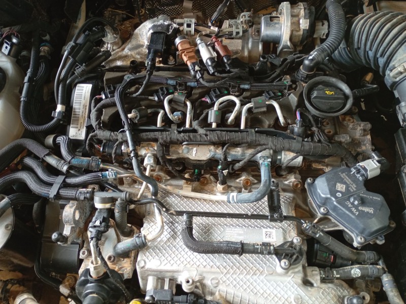 volkswagen tiguan (ad1, ax1) del año 2021