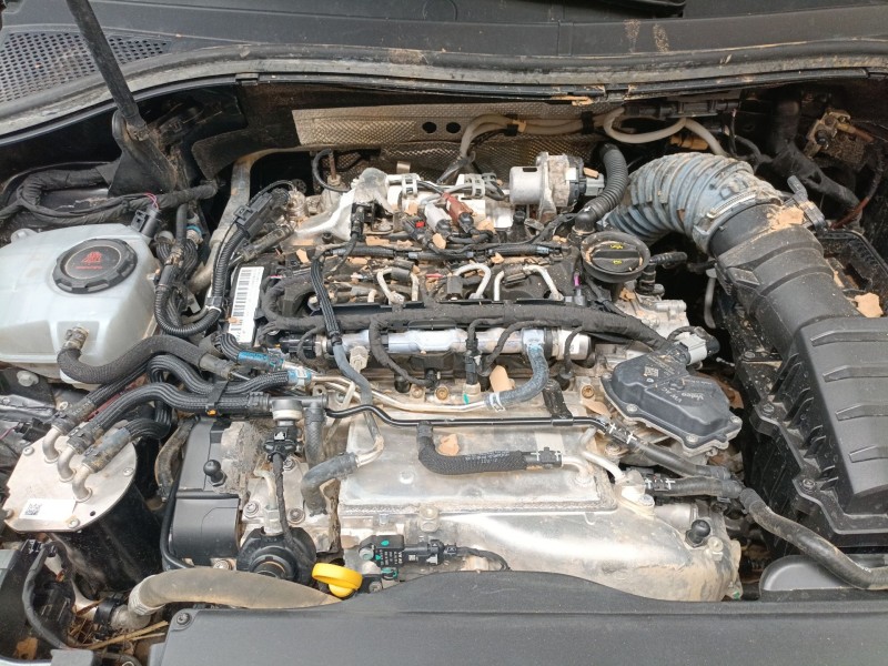 volkswagen tiguan (ad1, ax1) del año 2022