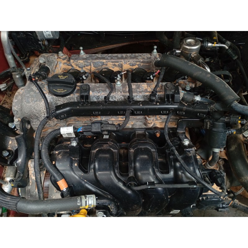 kia sportage iv (ql, qle) del año 2021