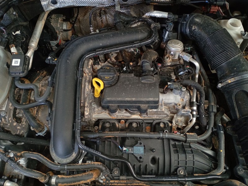 volkswagen golf viii (cd1, da1) del año 2021