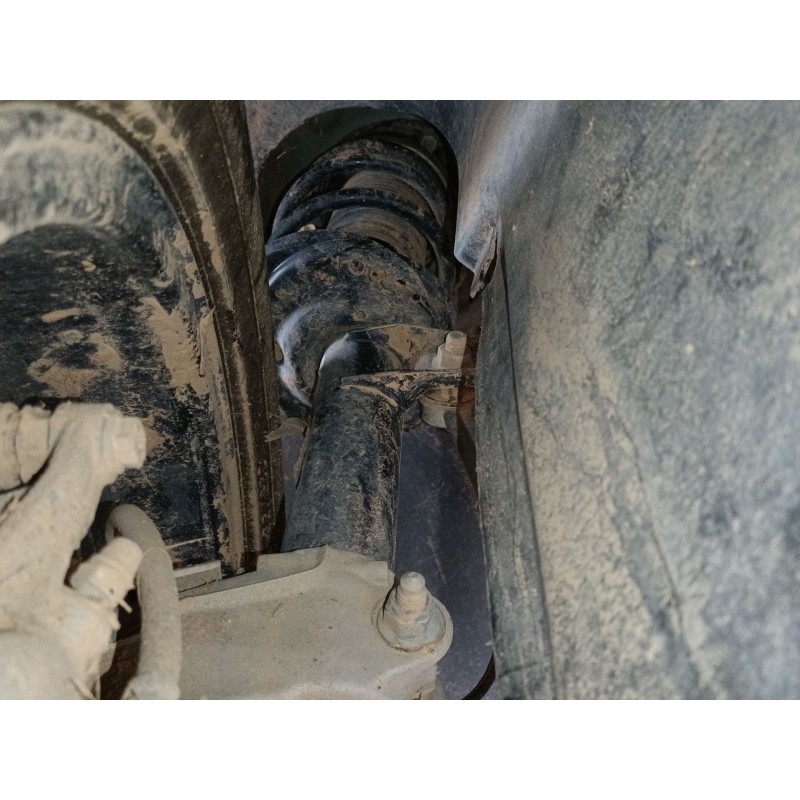 Recambio de amortiguador delantero derecho para volkswagen tiguan (ad1, ax1) 2.0 tdi referencia OEM IAM   