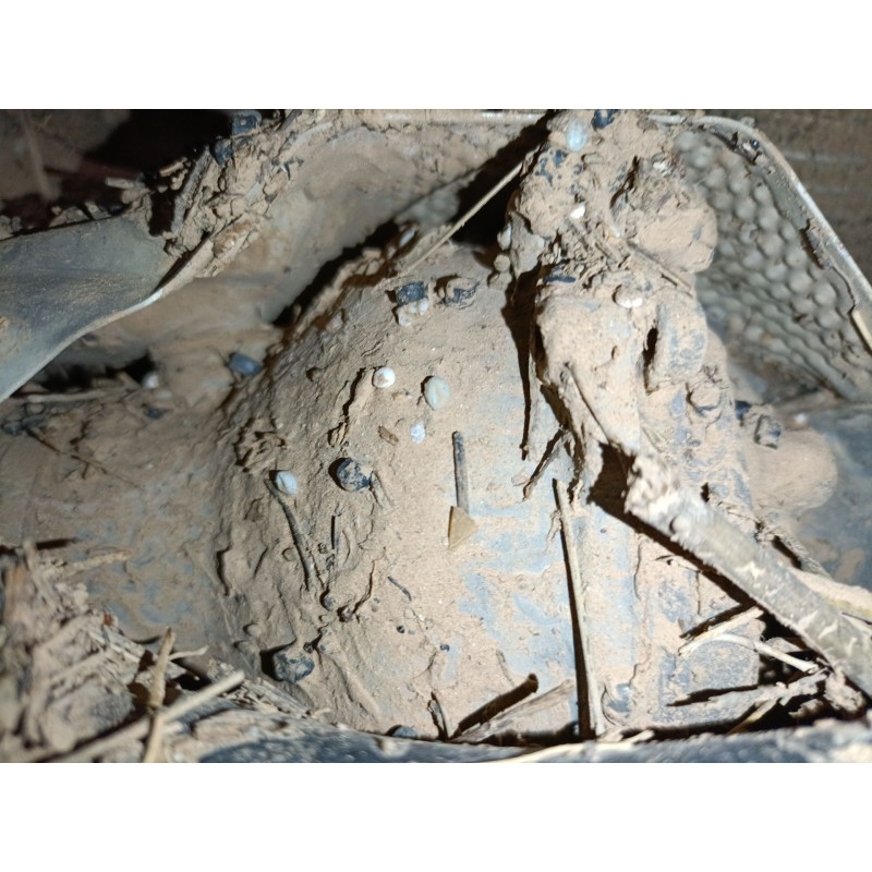 Recambio de cremallera direccion para volkswagen tiguan (ad1, ax1) 2.0 tdi referencia OEM IAM   