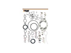 Recambio de accesorios auto para universal inyeccion y crc jgo. rep.bomba inyec.(dw8) referencia OEM IAM 800496 NUEVO T1-3-A2-3