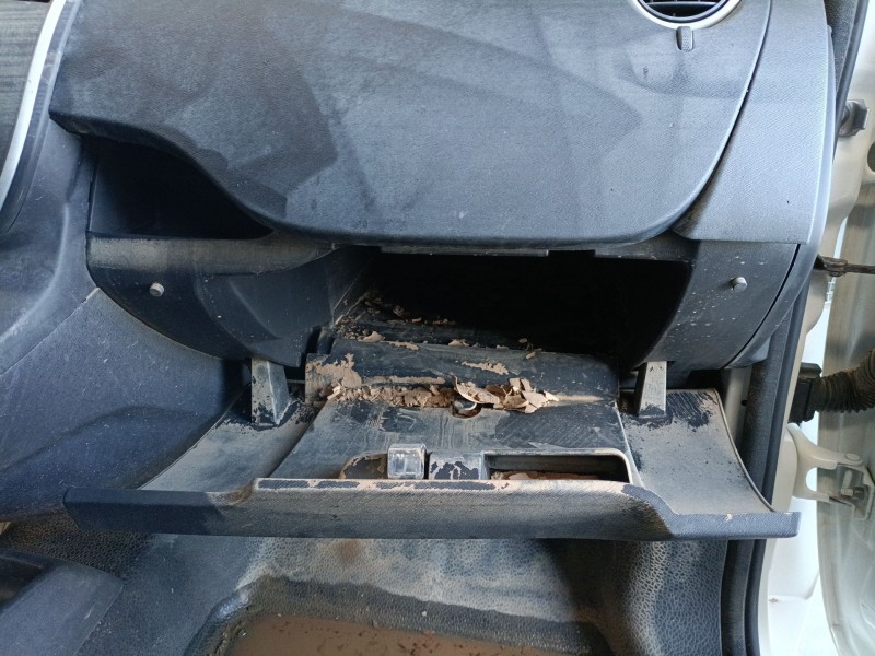 Recambio de guantera para renault kangoo express (fw0/1_) 1.5 dci 90 (fw0g, fw05, fw08, fw11) referencia OEM IAM   