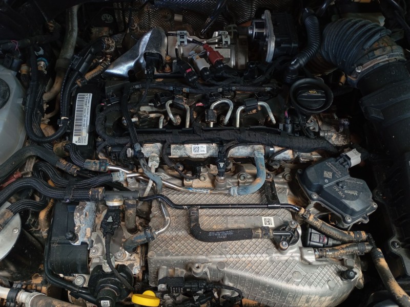 volkswagen tiguan (ad1, ax1) del año 2021